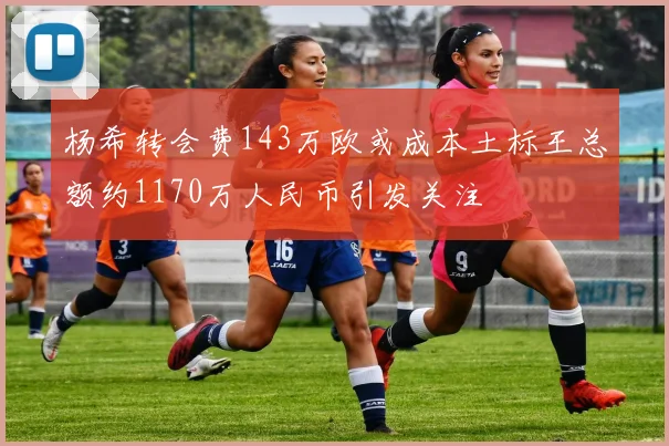 杨希转会费143万欧或成本土标王总额约1170万人民币引发关注